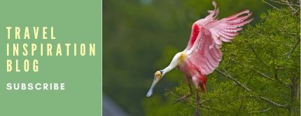 Picture of roseate spoonbill, text reads travel inspiration blog subscribe