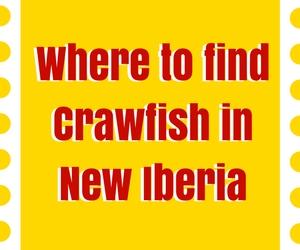 Where to Find Crawfish in New Iberia