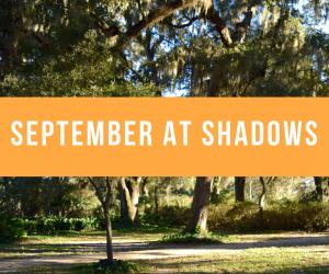 September at Shadows on the Teche